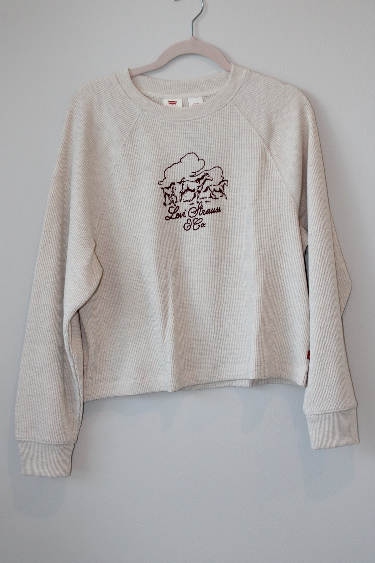 Levi western graphic long sleeve