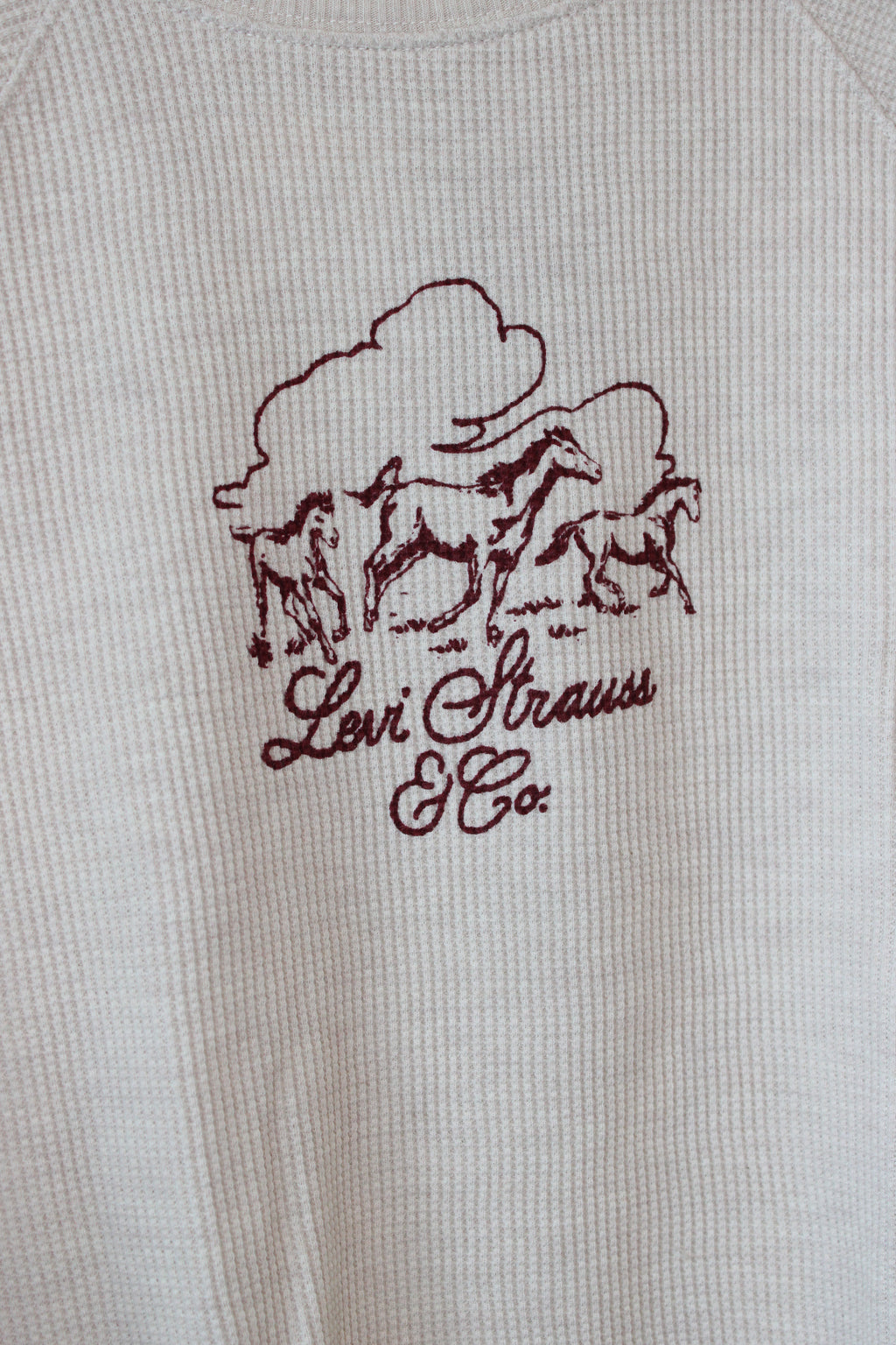Levi western graphic long sleeve