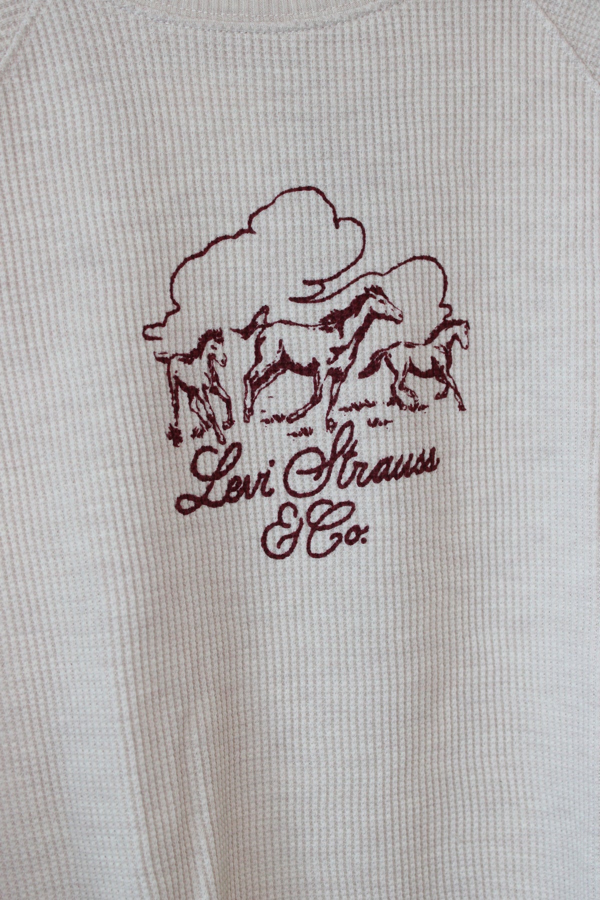Levi western graphic long sleeve